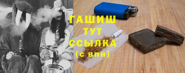 мет Ельня
