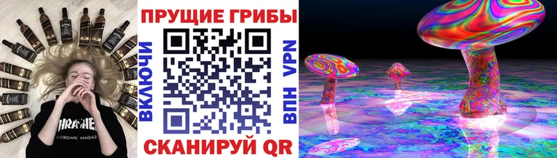 Псилоцибиновые грибы MAGIC MUSHROOMS  Купить закладки  Лаишево 